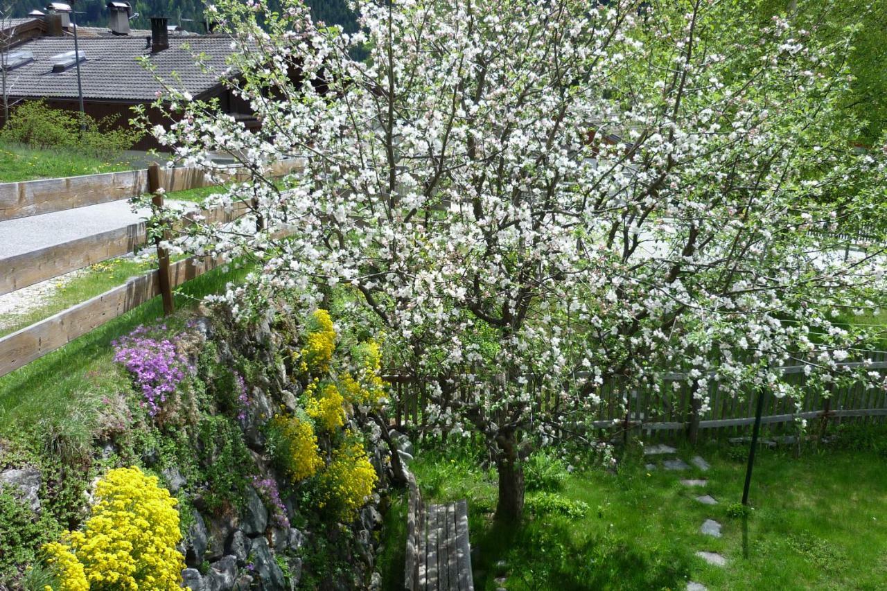 산칸디도 Gruberhof 아파트 외부 사진